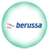 berrusa kombi servisi
