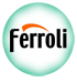 ferroli kombi servisi