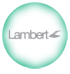 lambert kombi servisi