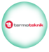 termoteknik kombi servisi
